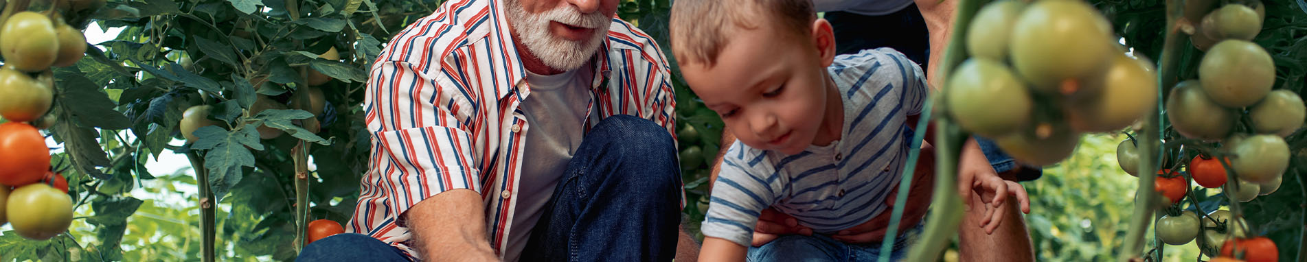 Featured Banner image